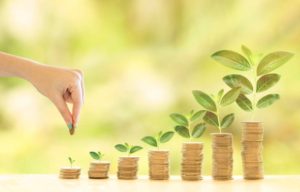 Savings Account And A Current Account