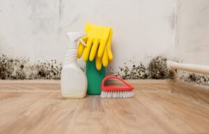 House Clean-up