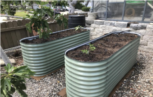 best raised garden