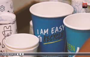 Looking For Paper Cup Supplier