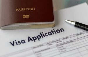 Visa Processing Agents