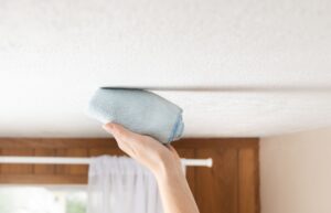 Ceiling Cleaning