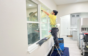 home window tint Philadelphia